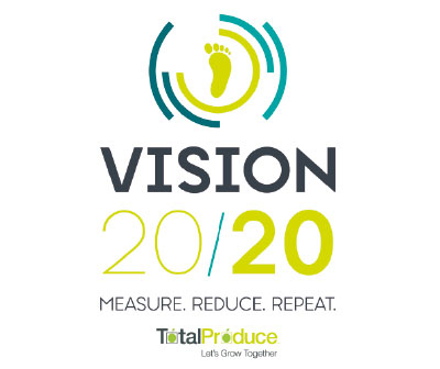 Vision-2020-Logo